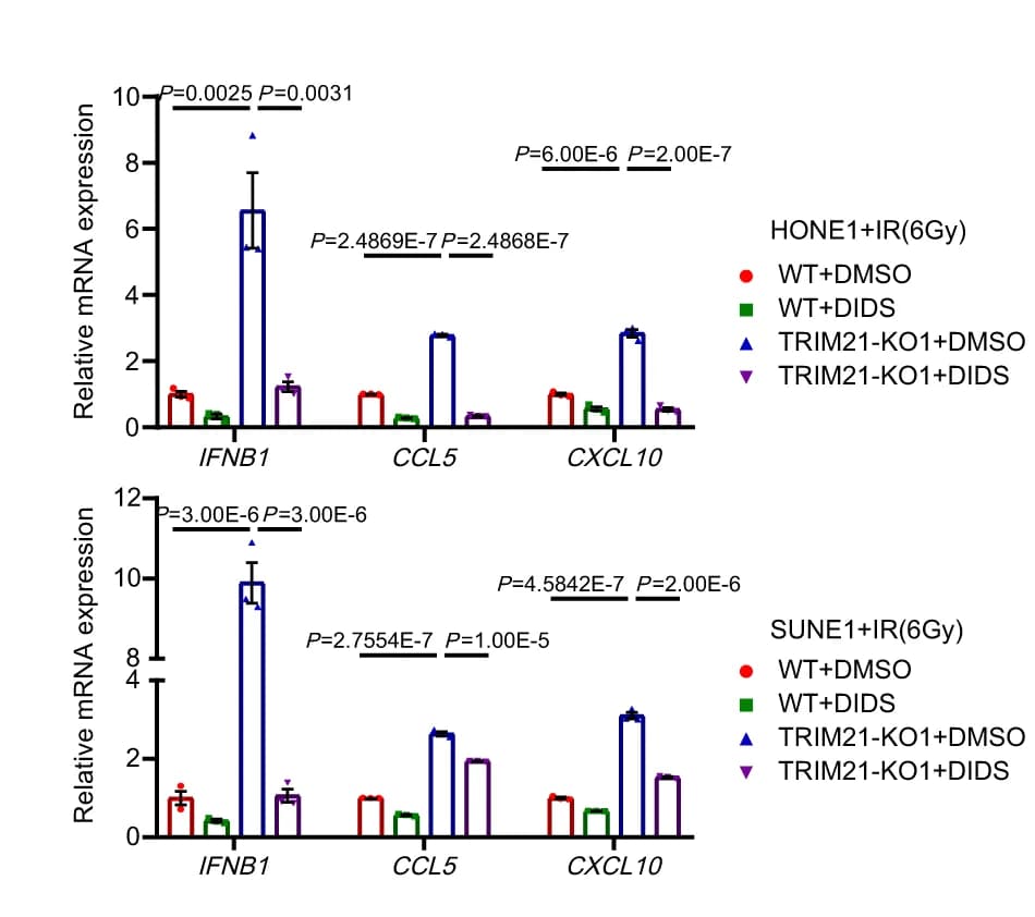 Open access visualization of Bar Plot, Error Bars, Clustered, IFNB1, CCL5