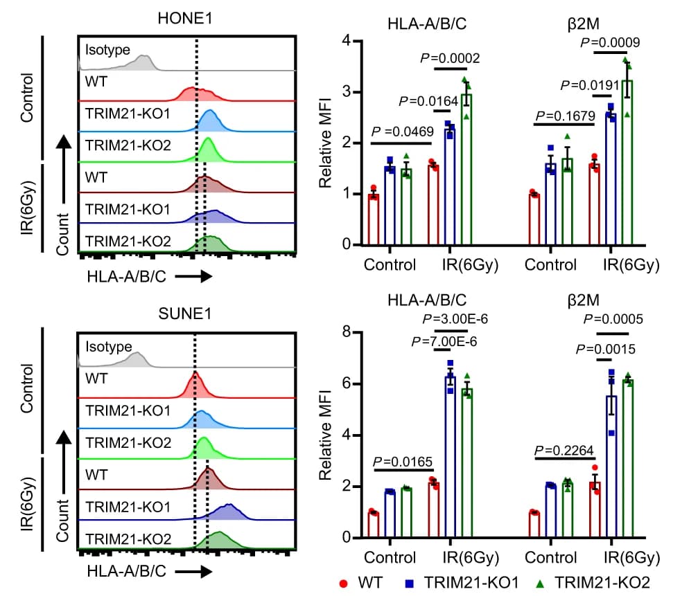 Open access visualization of Bar Plot, Error Bars, Density Plot, Antigen Presentation Molecules, HLA-A