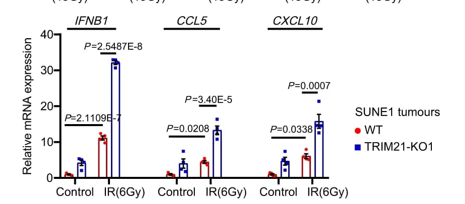 Open access visualization of Bar Plot, Error Bars, Clustered, IFNB1, CCL5