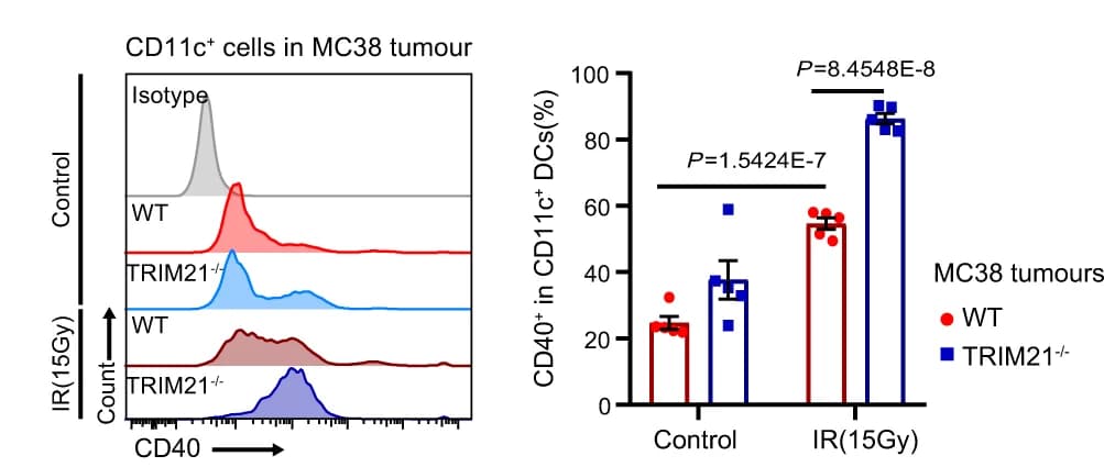 Open access visualization of Line Plot, Bar Plot, Error Bars, Density Plot, CD40