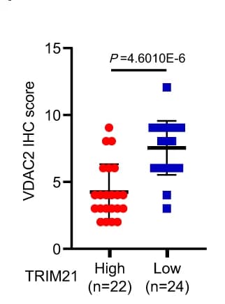 Open access visualization of Scatter Plot, Multiplex Immunohistochemistry, CD3+ cells, CD8+ cells, CD3+CD8+ cells