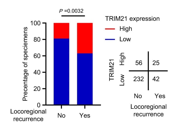 Open access visualization of Stacked Bar Plot, TRIM21 Expression, Locoregional Recurrence, Chemoradiotherapy, NPC Samples