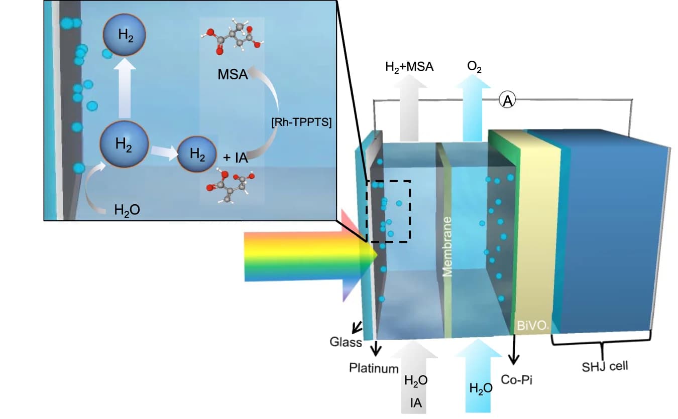 Open access visualization of Illustration, Workflow, Photoelectrochemical Device, Hydrogen Production, Hydrogenation