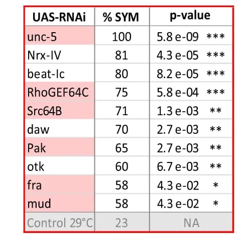 Open access visualization of Table Image, Candidate Genes, Axon Guidance, Midline Crossing, SYM Flies