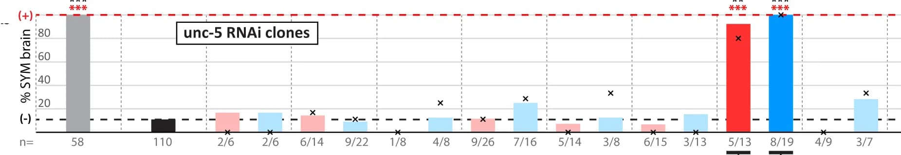 Open access visualization of Bar Plot, Error Bars, RNAi, LALv1A Lineage, Asymmetry Phenotype