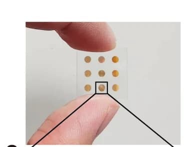 Open access visualization of Photo, Metasurface, Photograph, Metalenses