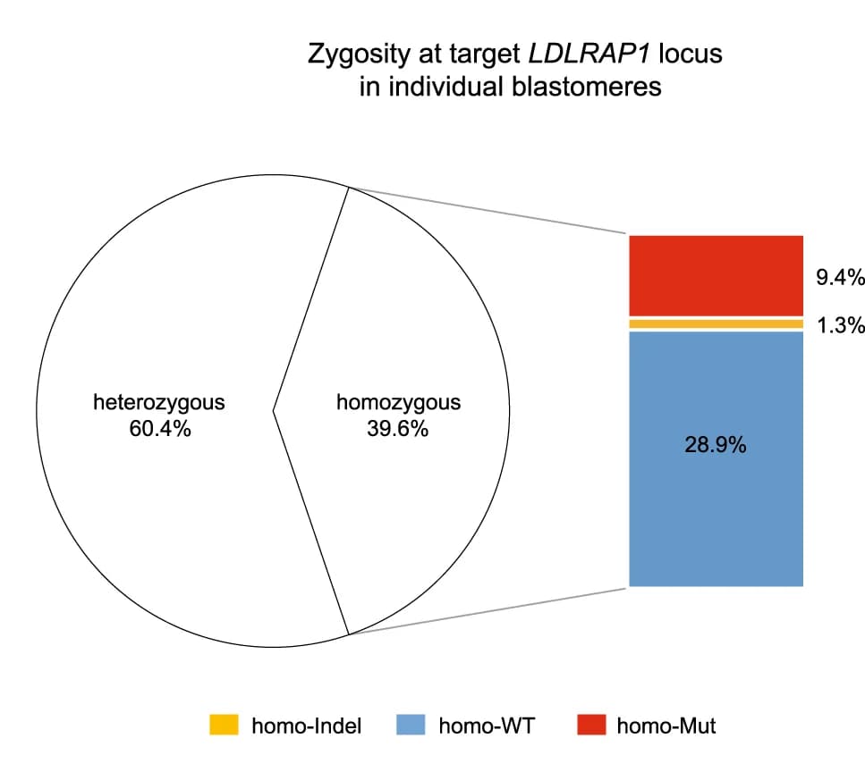 Open access visualization of Pie Chart, Stacked Bar Plot, LDLRAP1, Zygosity, Blastomeres