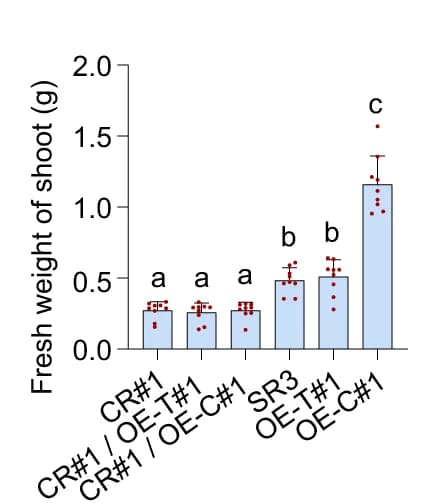 Open access visualization of Bar Plot, Error Bars, Fresh weight, Drought, Leaves