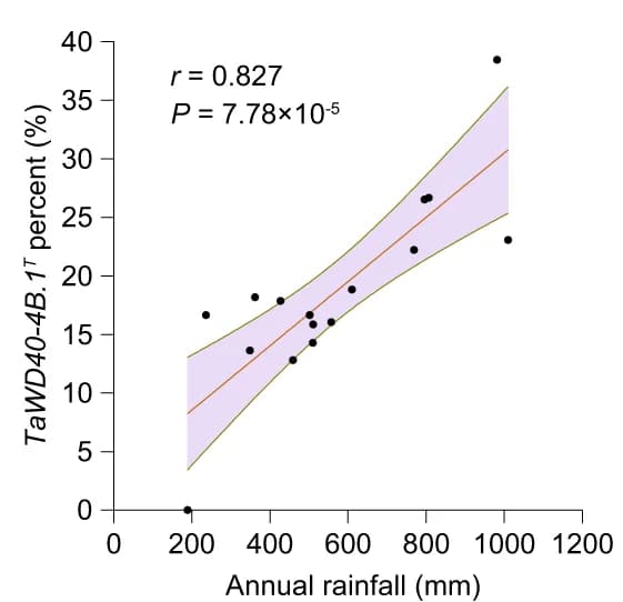 Open access visualization of Regression Plot, Scatter Plot, TaWD40-4B.1 T, Annual Rainfall, Pearson Correlation