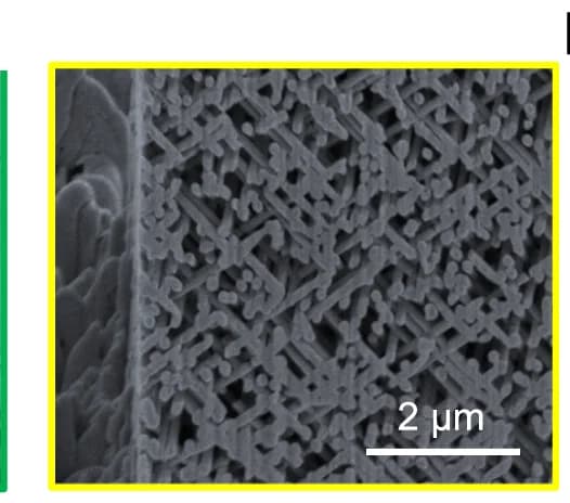 Open access visualization of Microscopy, SEM Image, Cross-Sectional, Quasi-BCC Nanolattice, FIB
