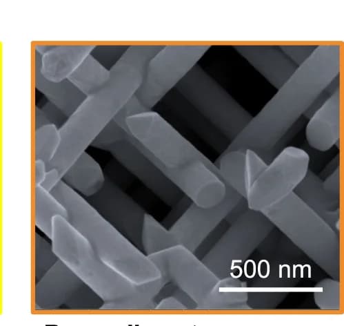 Open access visualization of Microscopy, SEM Image, High-Magnification, Quasi-BCC Nanolattice