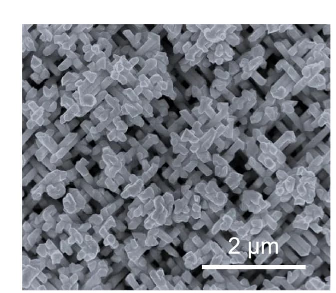 Open access visualization of Microscopy, SEM, Gold, Quasi-BCC Nanolattices, Au-117