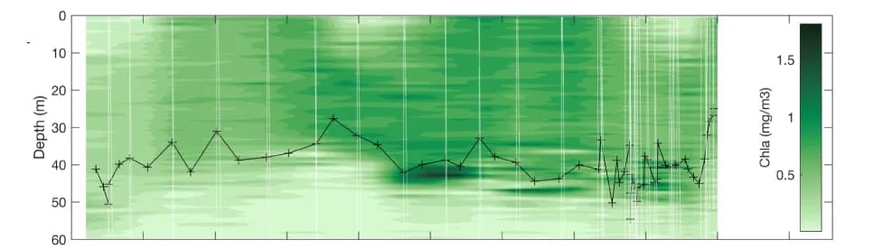 Open access visualization of Heatmap, Line Plot, Chl a, Contour