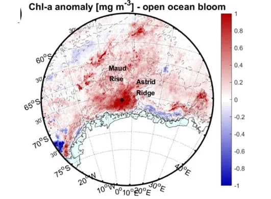 Open access visualization of Geo Map, Chl a Concentration, Zonal Wind, Sea-Ice Concentration, Bloom