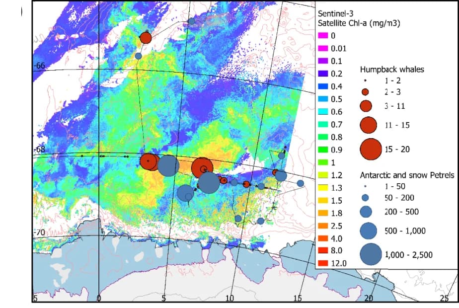 Open access visualization of Geo Map, Humpback Whales, Antarctic Petrels, Snow Petrels, Ecosystem Cruise