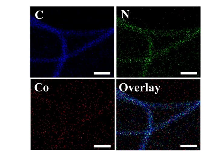 Open access visualization of Microscopy, H2O2 Selectivity, Applied Potential