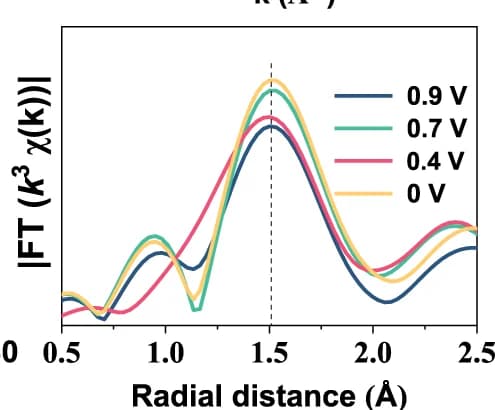 Open access visualization of Line Plot, Fourier transform magnitudes, EXAFS spectra, Co HSACs