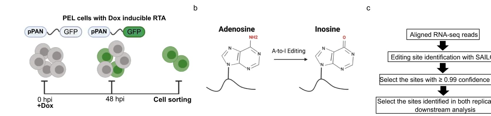 Open access visualization of Illustration, Workflow, Flowchart, PEL Cells, FACS