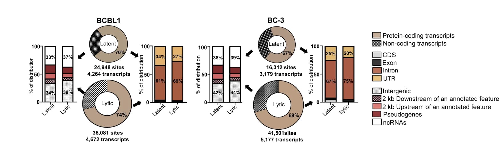 Open access visualization of Pie Chart, Bar Plot, Stacked Bar Plot, Genomic Distribution, Edited Sites
