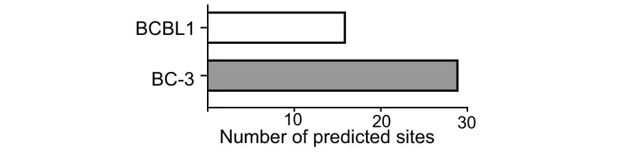 Open access visualization of Bar Plot, SALIOR, Editing Sites, BCBL1 Cells, BC-3 Cells