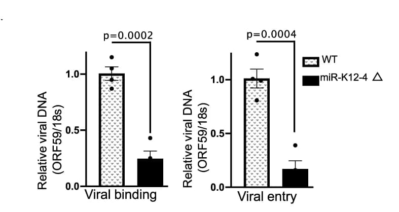 Open access visualization of Bar Plot, Error Bars, Viral DNA, qPCR