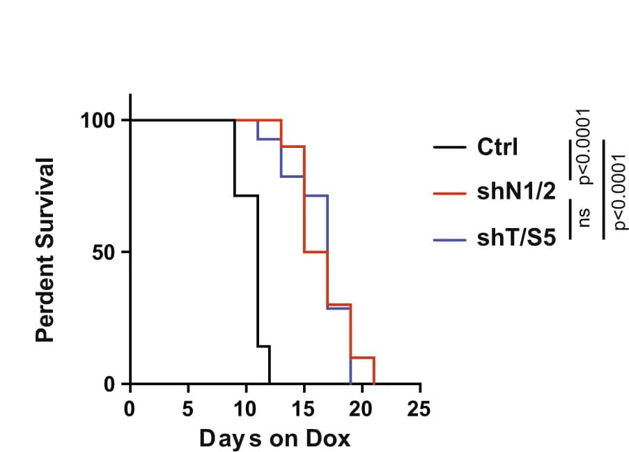 Open access visualization of Survival Curve, Line Step, Kaplan-Meier Survival Curve, Mice, Ctrl