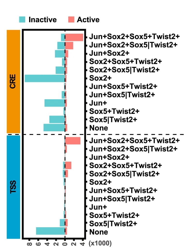 Open access visualization of Bar Plot, CRE Sites, TSS Sites, Jun, Sox2