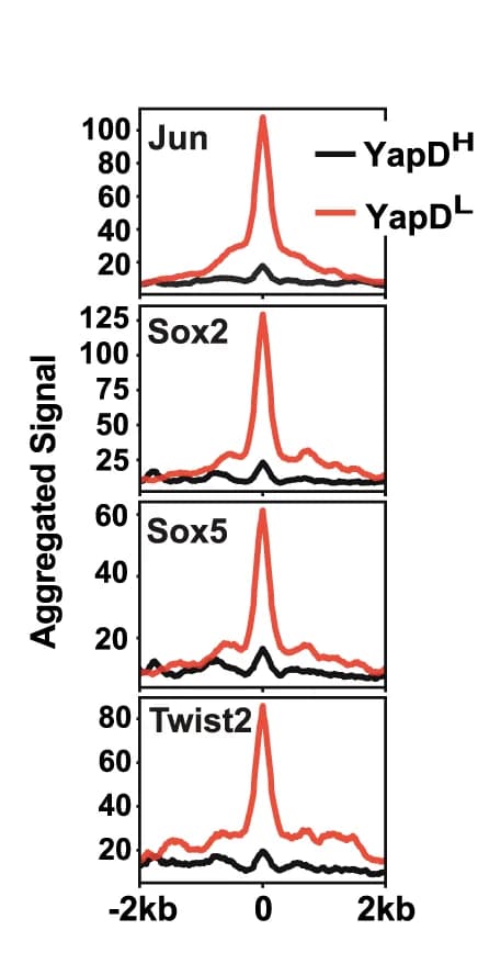 Open access visualization of Line Plot, Jun, Twist2, Sox2, Sox5