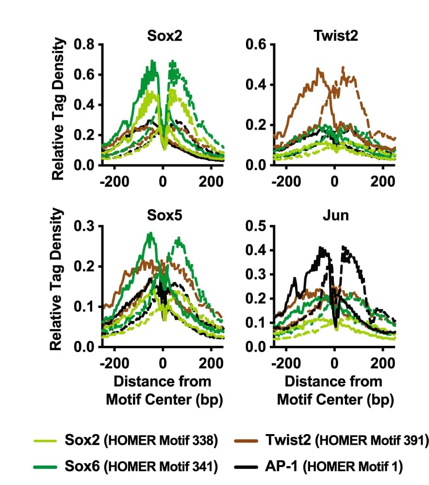 Open access visualization of Line Plot, Density Plot, Genomic Loci, YapD H, YapD L