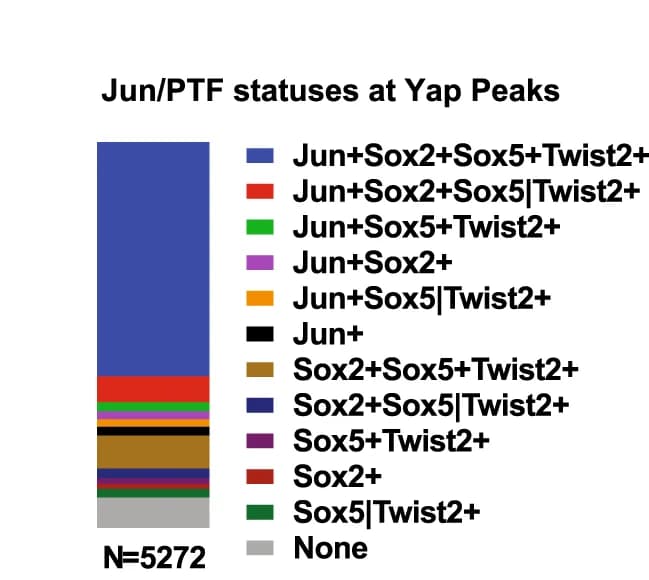Open access visualization of Stacked Bar Plot, Yap Peaks, Jun, Sox2, Sox5