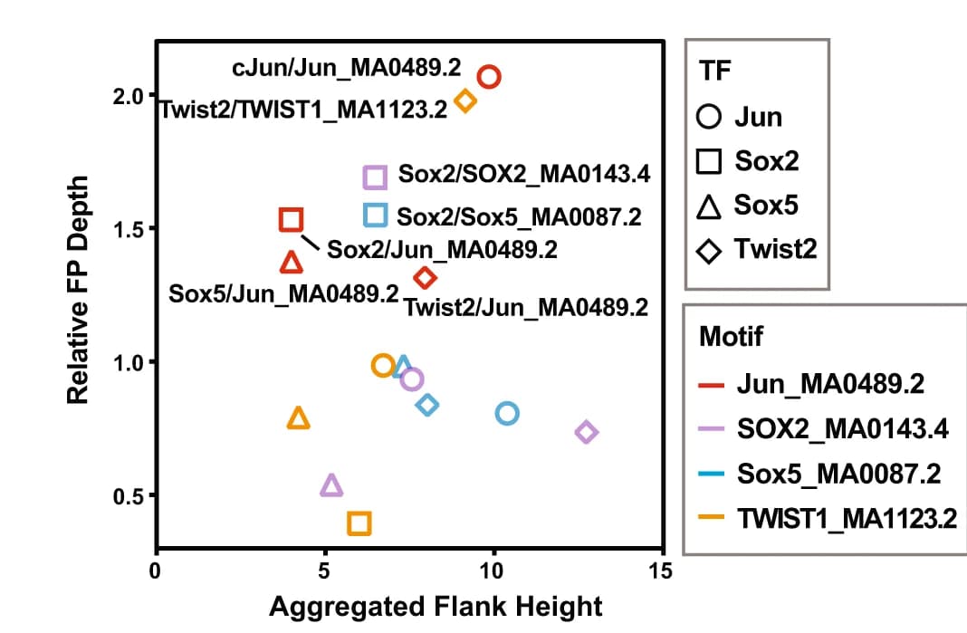 Open access visualization of Scatter Plot, Transcription Factors, Motifs, Jun, Sox2