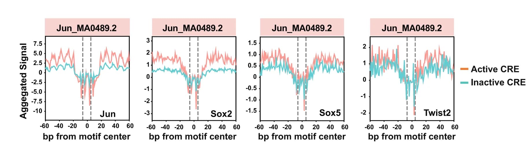 Open access visualization of Line Plot, Error Bars, Jun, Sox2, Sox5