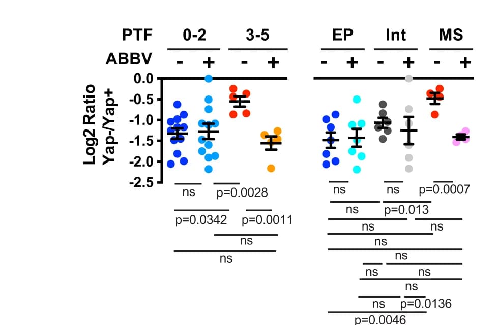 Open access visualization of Scatter Plot, Error Bars, Tumor Size, Xenografts, ABBV
