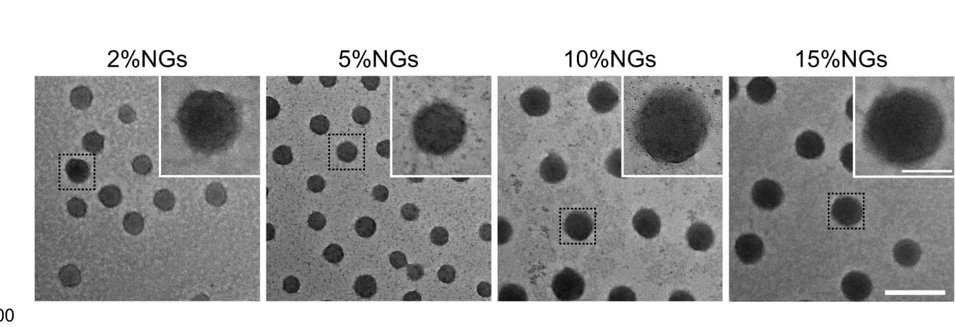 Open access visualization of Microscopy, TEM Images, Nanogels, Stiffness