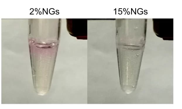 Open access visualization of Photo, Permeability, Nanogels, Rhodamine, Stiffness