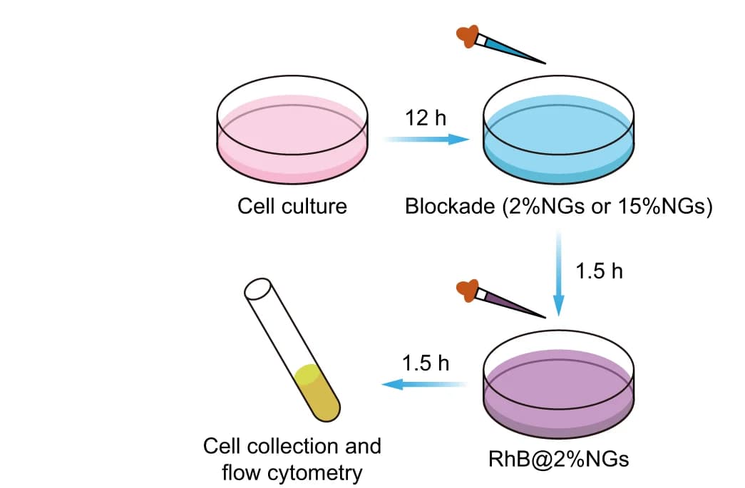 Open access visualization of Workflow, Flowchart, In Vitro, Stiffness, RES-blockade