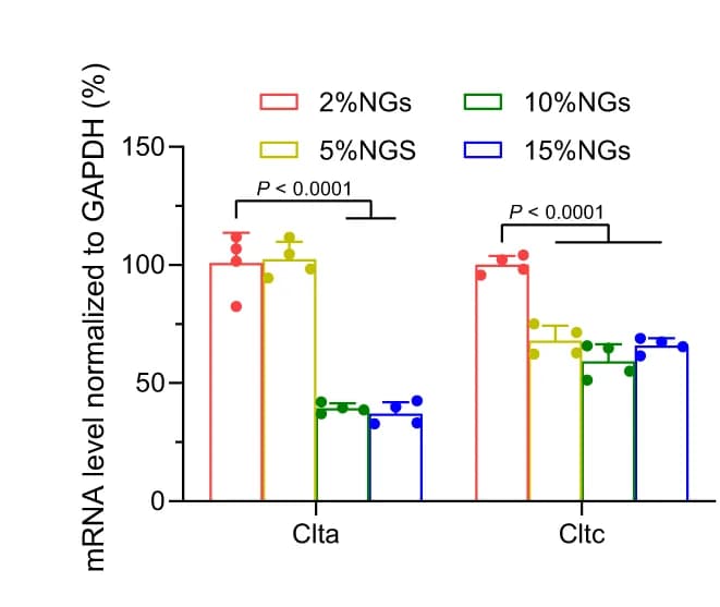 Open access visualization of Bar Plot, Error Bars, Scatter Plot, Clustered, Clathrin mRNA
