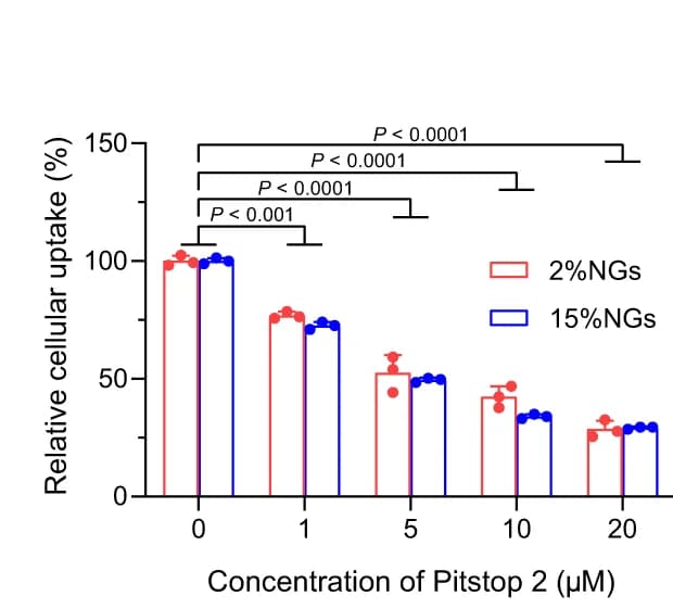 Open access visualization of Clustered, Bar Plot, Error Bars, Cellular Uptake, Rhodamine-labeled nanogels