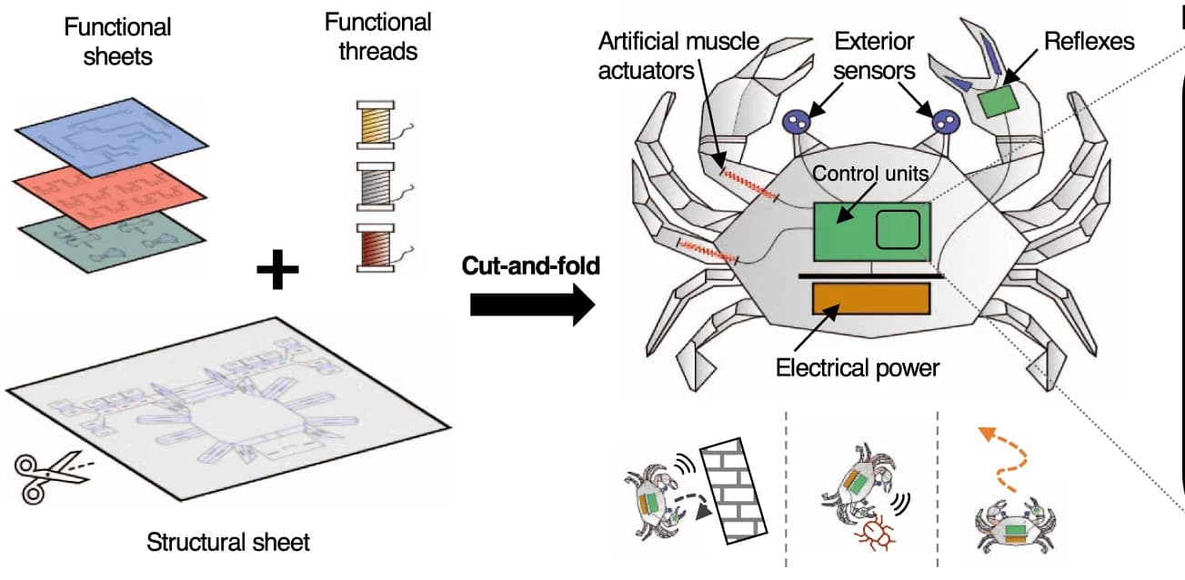 Open access visualization of Workflow, Illustration, Autonomous Robot, Sheet Materials, Cut-and-fold processing