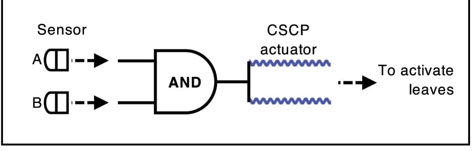Open access visualization of Workflow, Flowchart, Illustration, Circuit Diagram, Touch Sensors