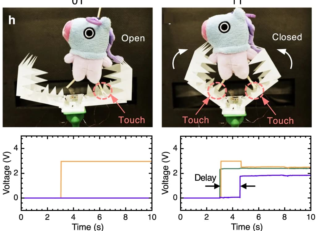 Open access visualization of Line Plot, Photo, Prey Capture, Leaves, Touch Sensors