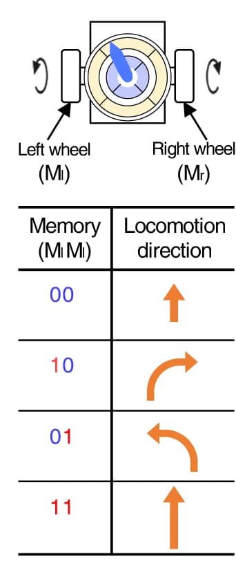 Open access visualization of Illustration, Table Image, Locomotion, Trajectory, Memory bits