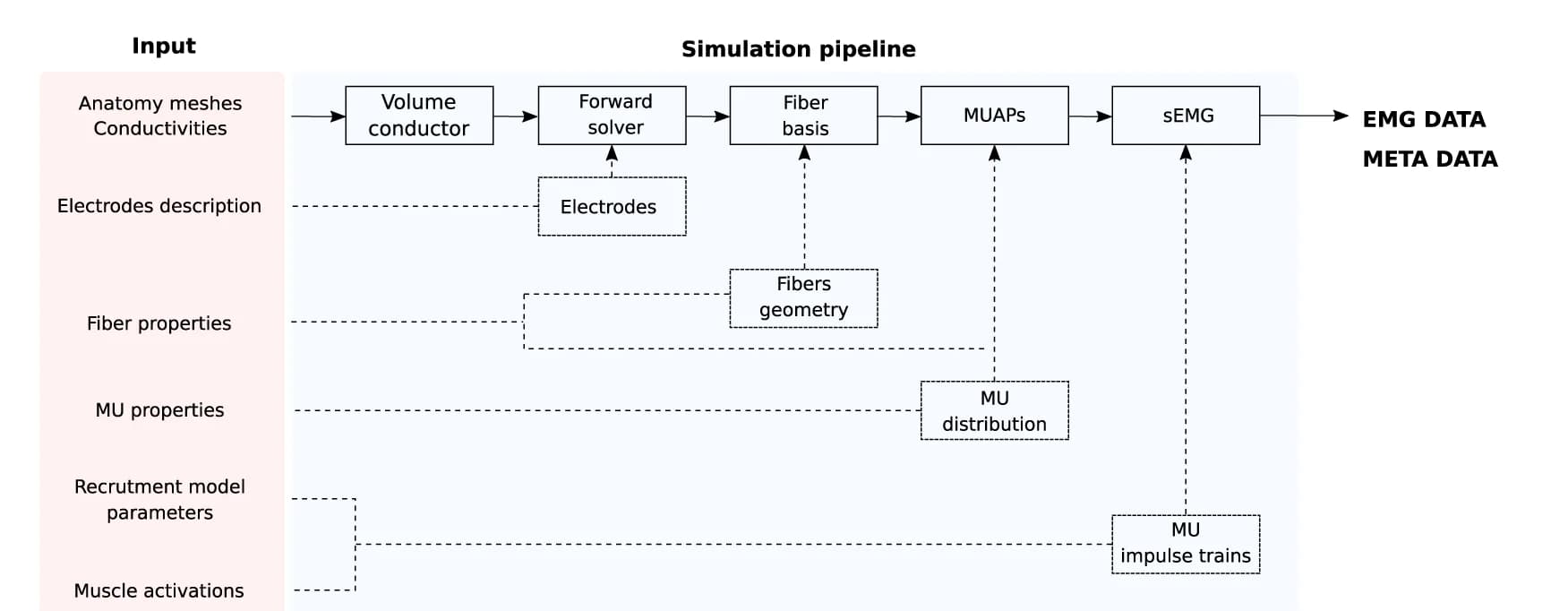 Open access visualization of Workflow, Flowchart, Software, Simulation Pipeline, Anatomical Properties