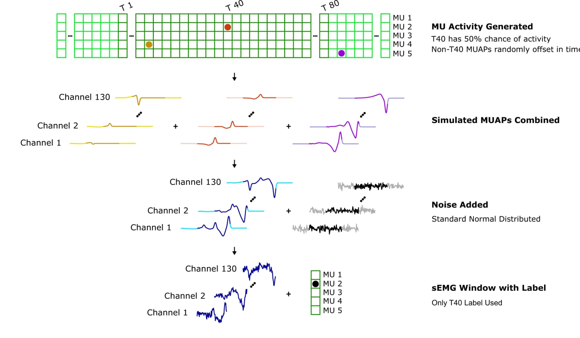 Open access visualization of Workflow, MUAP Template, Pre-training, Simulation, Superposition