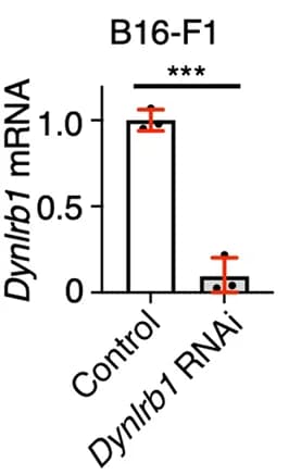 Open access visualization of Bar Plot, Error Bars, Dynlrb1 mRNA, B16-F1 Cells, Gene Expression