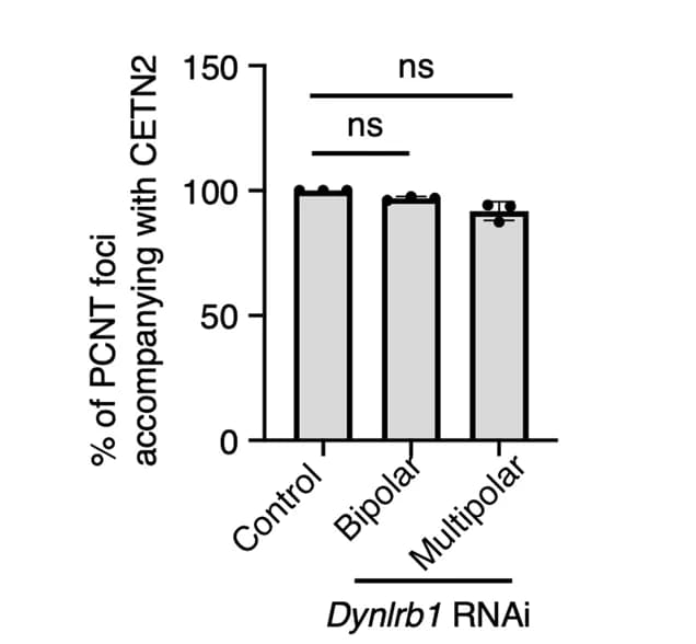 Open access visualization of Bar Plot, Error Bars, PCNT Foci, CETN2 Foci, B16-F1 Cells