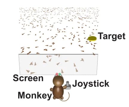 Open access visualization of Illustration, Monkeys, Joystick, Optic Flow, Virtual Environment