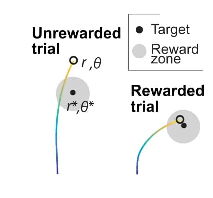 Open access visualization of Scatter Plot, Trials, Correct Responses, Incorrect Responses