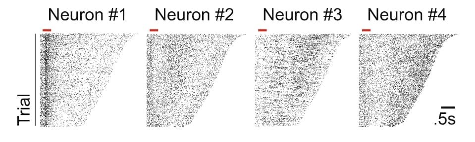 Open access visualization of Scatter Plot, Spike Rasters, Neurons, Recording Sessions