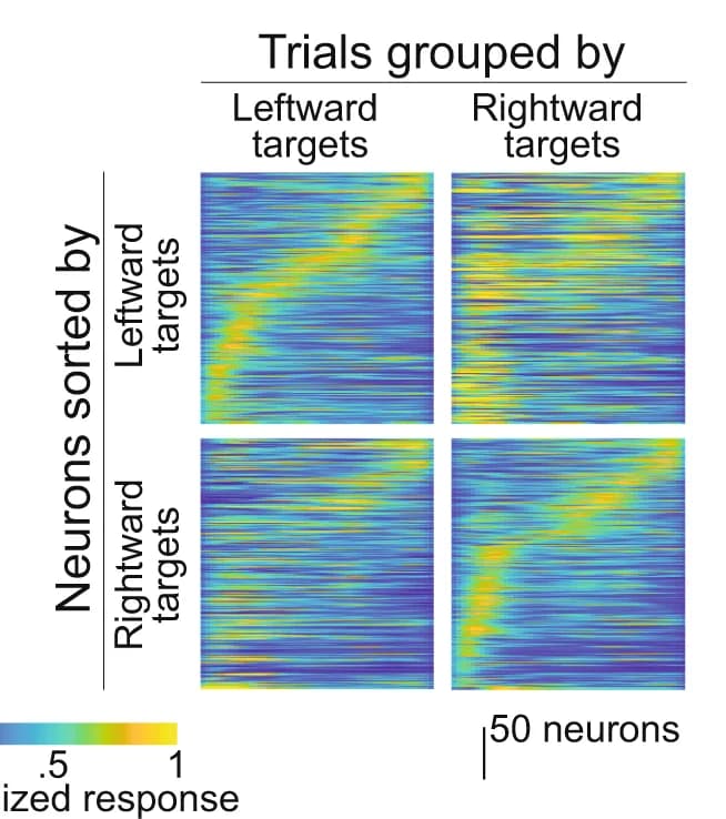 Open access visualization of Heatmap, Trials, Target Angle